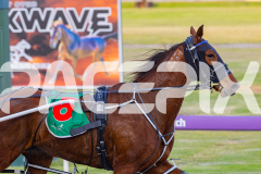 2025_PACEPIX_GP03102025_RACE1_SweetCoco_WIN_WEB-17