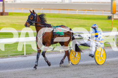 2025_PACEPIX_GP03102025_RACE1_SweetCoco_WIN_WEB-18