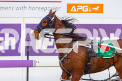 2025_PACEPIX_GP03102025_RACE1_SweetCoco_WIN_WEB-20