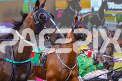 2025_PACEPIX_GP03102025_RACE1_SweetCoco_WIN_WEB-3