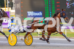 2025_PACEPIX_GP03102025_RACE1_SweetCoco_WIN_WEB-6