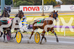 2025_PACEPIX_GP03102025_RACE1_SweetCoco_WIN_WEB-7
