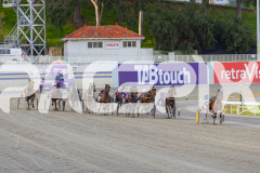 2025_PACEPIX_GP03102025_RACE1_SweetCoco_WIN_WEB-8