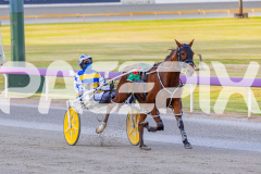 2025_PACEPIX_GP03102025_RACE1_SweetCoco_WIN_WEB-9