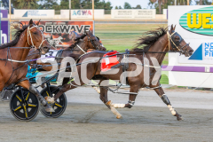 Ta-In-Advance_13-03-2026_WIN_Gloucester-Park_1__06