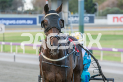 Ta-In-Advance_13-03-2026_WIN_Gloucester-Park_1__10