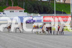 2025_PACEPIX_GP02092025_RACE1_TakeAHike_WIN_WEB-1