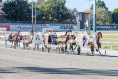 RACE 1 - Terbium