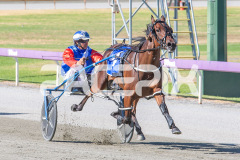 Terbium_17-02-2026_WIN_Cloucester-Park_1__05
