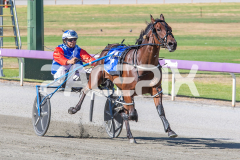 Terbium_17-02-2026_WIN_Cloucester-Park_1__06