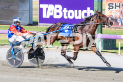Terbium_17-02-2026_WIN_Cloucester-Park_1__09