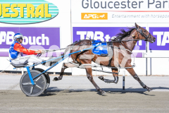 Terbium_17-02-2026_WIN_Cloucester-Park_1__12