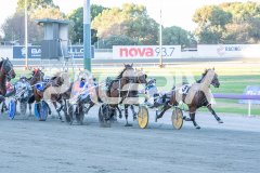 The-Righteous_06-03-2026_WIN_Gloucester-Park_1__02