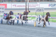 The-Righteous_06-03-2026_WIN_Gloucester-Park_1__03