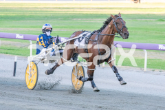 The-Righteous_06-03-2026_WIN_Gloucester-Park_1__04