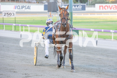 The-Righteous_06-03-2026_WIN_Gloucester-Park_1__10