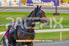 2026_Pacepix_GP18082026_Race1_TheWandWaver_WIN_WEB-12