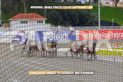 2026_Pacepix_GP18082026_Race1_TheWandWaver_WIN_WEB-3