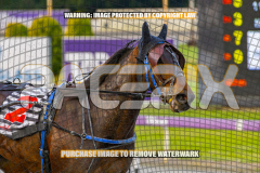 2026_Pacepix_GP18082026_Race1_TheWandWaver_WIN_WEB-8