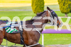 2025_PACEPIX_GP19092025_Race1_TriroyaleBrigade_WIN_WEB-21