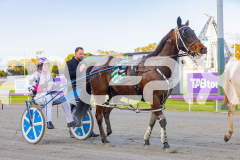 2025_PACEPIX_GP19092025_Race1_TriroyaleBrigade_WIN_WEB-29