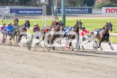 Trixie-Dora_03-04-2026_WIN_Gloucester-Park_1__03