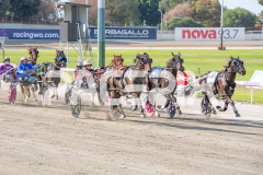 Trixie-Dora_03-04-2026_WIN_Gloucester-Park_1__04