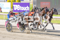 Trixie-Dora_03-04-2026_WIN_Gloucester-Park_1__07