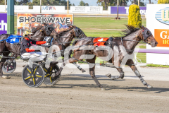 Trixie-Dora_03-04-2026_WIN_Gloucester-Park_1__09
