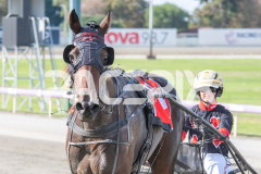 Trixie-Dora_03-04-2026_WIN_Gloucester-Park_1__12