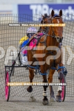 2026_Pacepix_GP23102026_Race1_Troubadour_WIN_WEB-1