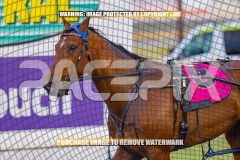 2026_Pacepix_GP23102026_Race1_Troubadour_WIN_WEB-11