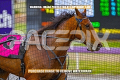 2026_Pacepix_GP23102026_Race1_Troubadour_WIN_WEB-8