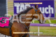 2026_Pacepix_GP23102026_Race1_Troubadour_WIN_WEB-9