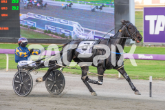 True-Grit_14-04-2026_WIN_Gloucester-Park_1__06