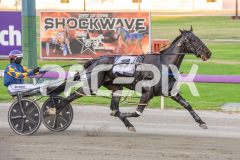 True-Grit_14-04-2026_WIN_Gloucester-Park_1__07