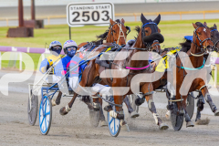 Gloucester Park - 17/10/2025