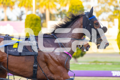 2025_PACEPIX_GP17102025_Race1_Tualou_WIN_WEB-11