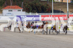 2025_PACEPIX_GP17102025_Race1_Tualou_WIN_WEB-2