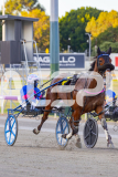 2025_PACEPIX_GP17102025_Race1_Tualou_WIN_WEB-9