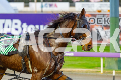 2026_PACEPIX_GP19052026_RACE1_UnderTheAlta_WIN_WEB-14