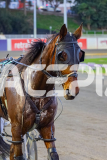 2026_PACEPIX_GP19052026_RACE1_UnderTheAlta_WIN_WEB-18