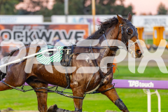 2026_PACEPIX_GP19052026_RACE1_UnderTheAlta_WIN_WEB-3