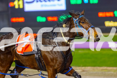 2026_PACEPIX_GP19062026_Race1_UpAndAlive_WIN_WEB-14