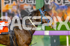 2026_PACEPIX_GP19062026_Race1_UpAndAlive_WIN_WEB-15