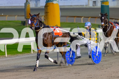2026_PACEPIX_GP19062026_Race1_UpAndAlive_WIN_WEB-16