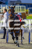 2026_PACEPIX_GP19062026_Race1_UpAndAlive_WIN_WEB-20