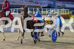 2026_PACEPIX_GP19062026_Race1_UpAndAlive_WIN_WEB-21