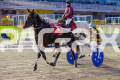 2026_PACEPIX_GP19062026_Race1_UpAndAlive_WIN_WEB-22