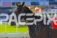 2026_PACEPIX_GP19062026_Race1_UpAndAlive_WIN_WEB-23